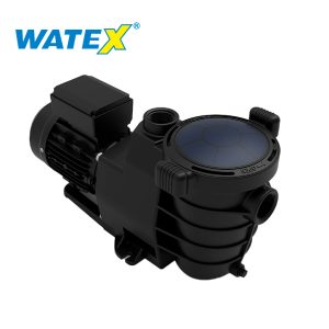 Motobomba Golden - Watex